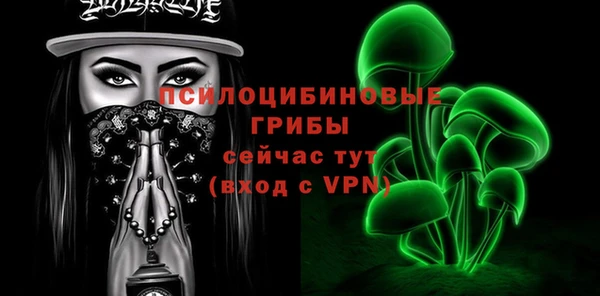 ПСИЛОЦИБИНОВЫЕ ГРИБЫ Алзамай