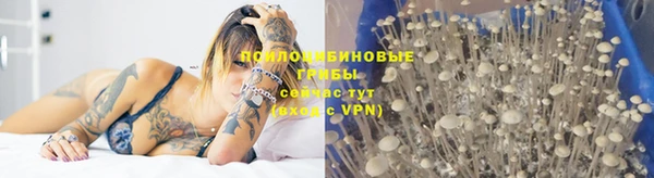 ПСИЛОЦИБИНОВЫЕ ГРИБЫ Алзамай