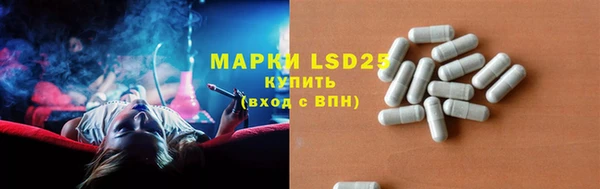 ПСИЛОЦИБИНОВЫЕ ГРИБЫ Алзамай