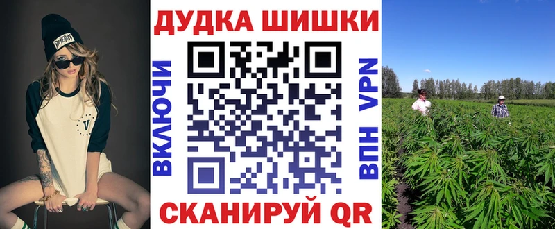 где купить наркотик  Мураши  Конопля конопля 